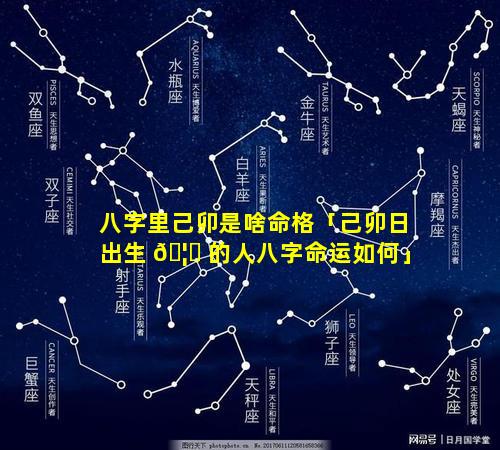 八字里己卯是啥命格「己卯日出生 🦊 的人八字命运如何」